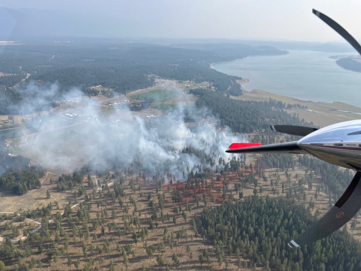 A plane flies above smoke billowing from a fire in a dry, sparse forest.