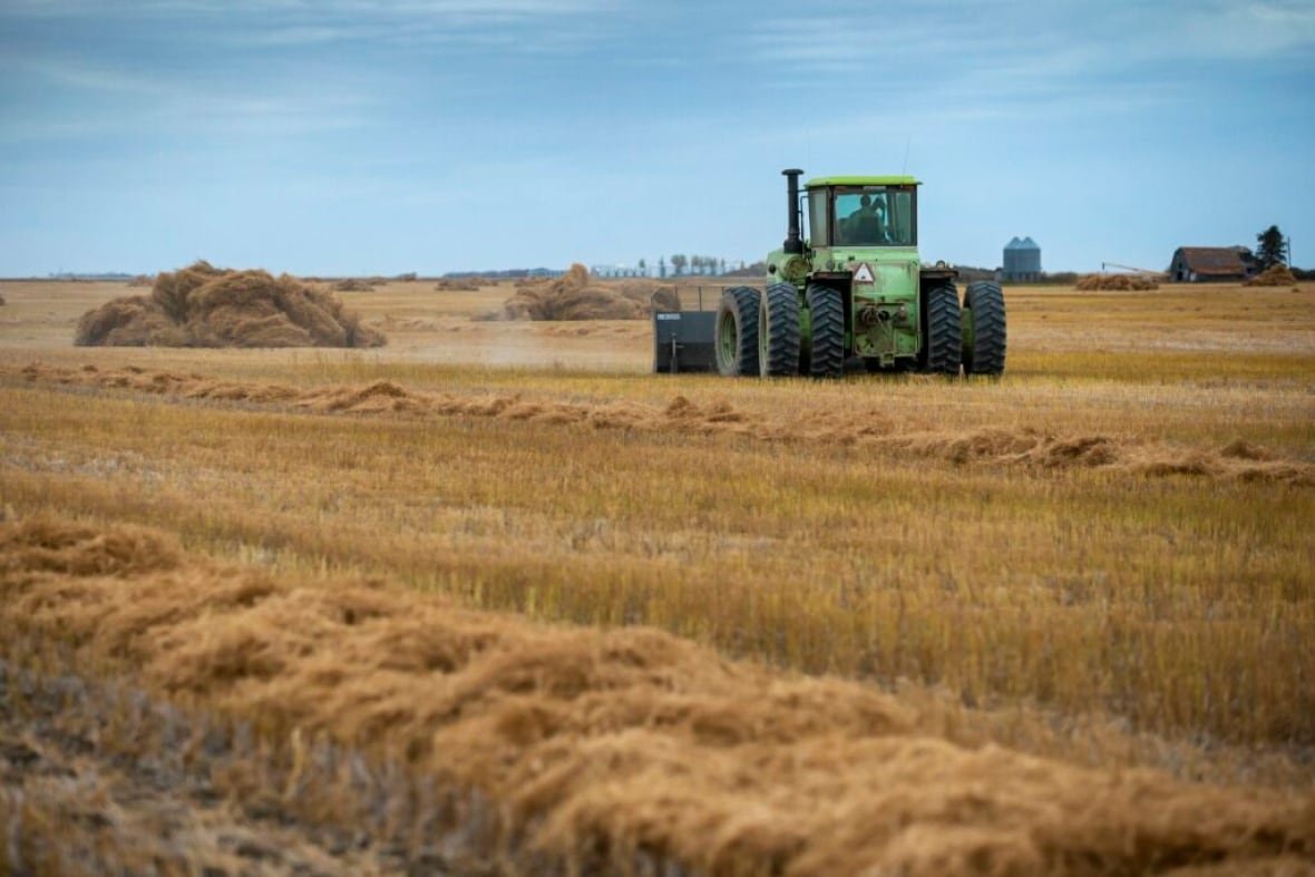 flax-straw A picture of a farm field and a tractor.