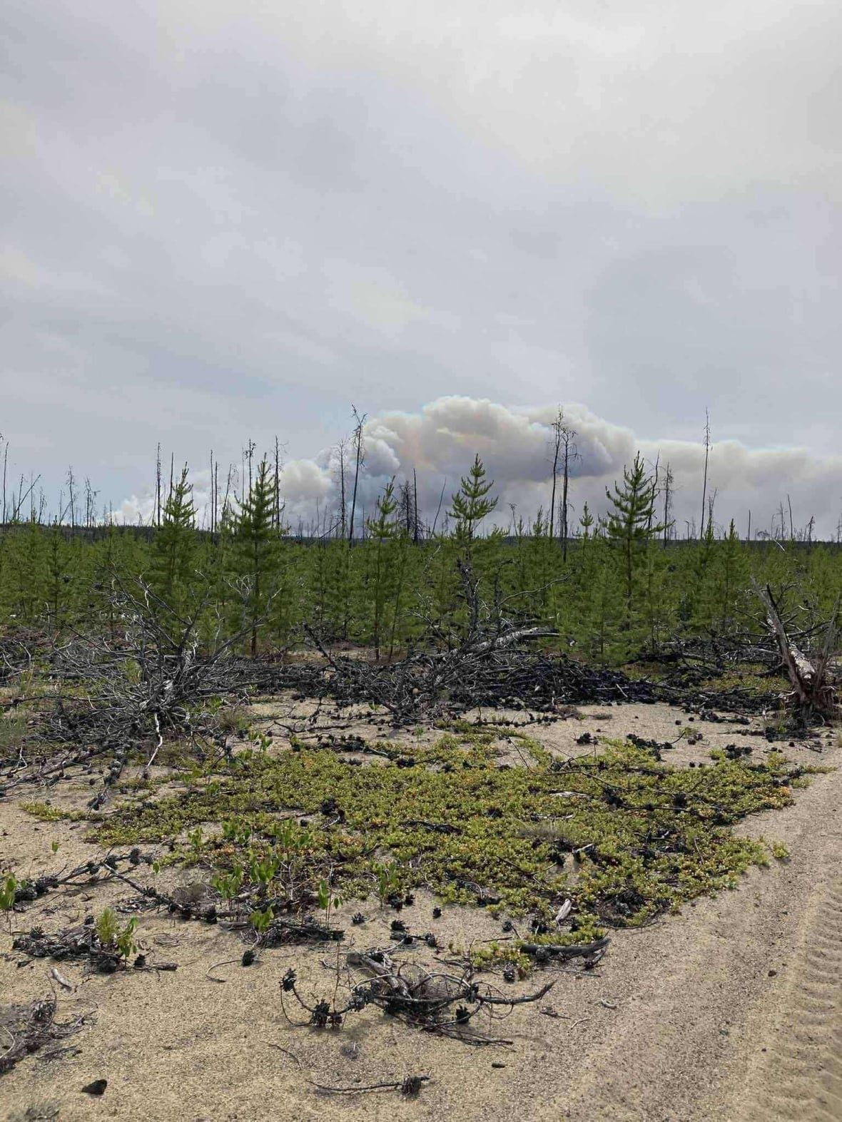 hearne-lake-lodge-fire Smoke billows in the distance.