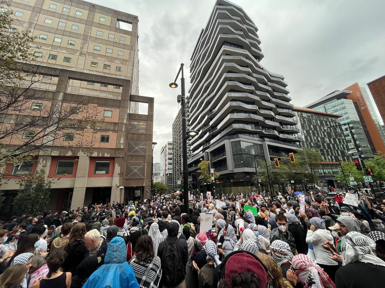 default-790 Crowd protesting at a demonstration.