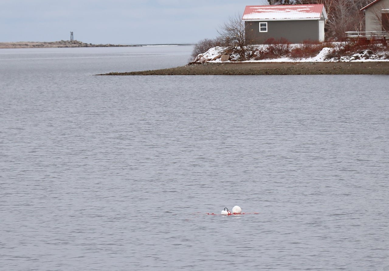 default-127 sewer outfall buoys